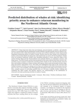 Predicted Distribution of Whales at Risk: Identifying Priority Areas to Enhance Cetacean Monitoring in the Northwest Atlantic Ocean