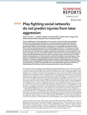 Play Fighting Social Networks Do Not Predict Injuries from Later Aggression