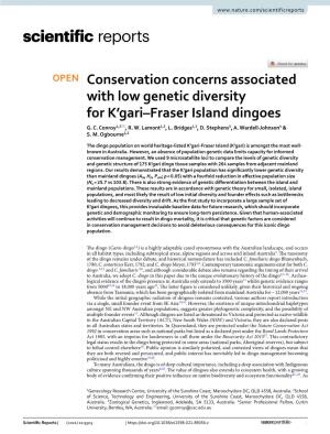 Conservation Concerns Associated with Low Genetic Diversity for K'gari