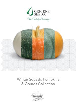 Winter Squash, Pumpkins & Gourds Collection