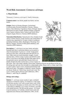 Weed Risk Assessment: Centaurea Calcitrapa