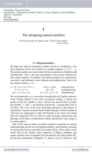 The Intriguing Natural Numbers