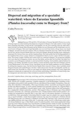 Where Do Eurasian Spoonbills (Platalea Leucorodia) Come to Hungary From?
