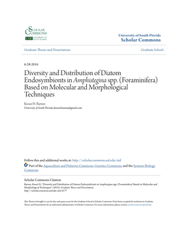 Diversity and Distribution of Diatom Endosymbionts in Amphistegina Spp. (Foraminifera) Based on Molecular and Morphological Techniques Kwasi H