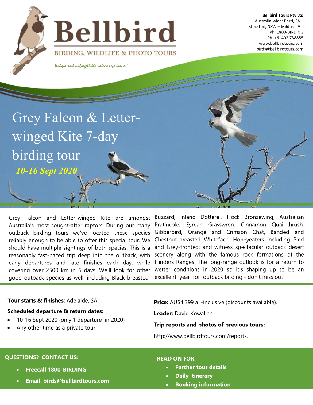 Grey Falcon & Letter- Winged Kite 7-Day Birding Tour