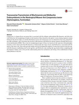 Transovarian Transmission of Blochmannia and Wolbachia Endosymbionts in the Neotropical Weaver Ant Camponotus Textor (Hymenoptera, Formicidae)