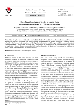 Capoeta Aydinensis, a New Species of Scraper from Southwestern Anatolia, Turkey (Teleostei: Cyprinidae)