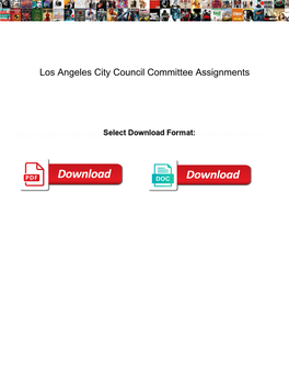 Los Angeles City Council Committee Assignments