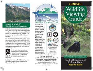Juneau Wildlife Viewing Guide