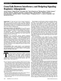 Cross-Talk Between Interferon-G and Hedgehog Signaling Regulates