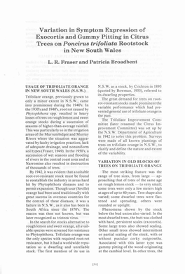 Variation in Symptom Expression of Exocortis and Gummy Pitting in Citrus Trees on Poncirus Trifoliata Rootstock in New South Wales