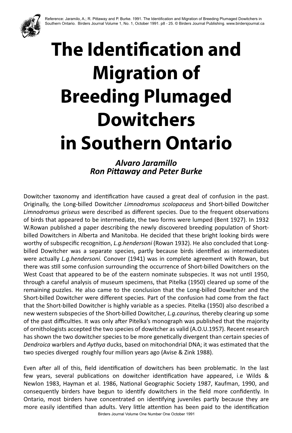 The฀identification฀and฀ Migration฀of Breeding฀plumaged฀ Dowitchers฀ In฀southern฀ontario Alvaro Jaramillo Ron Pi�Away and Peter Burke