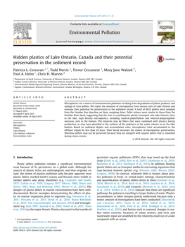 Hidden Plastics of Lake Ontario, Canada and Their Potential Preservation in the Sediment Record