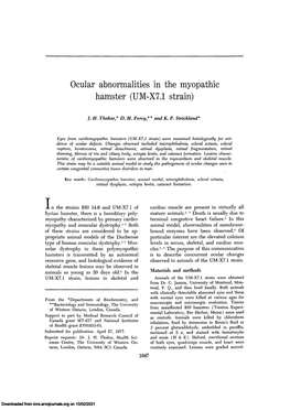 Ocular Abnormalities in the Myopathic Hamster (UM-X7.1 Strain)