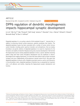 DPP6 Regulation of Dendritic Morphogenesis Impacts Hippocampal Synaptic Development