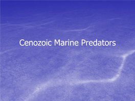 Cenozoic Marine Predators