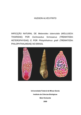 HUDSON ALVES PINTO INFECÇÃO NATURAL DE Melanoides