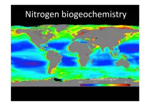Nitrogen Biogeochemistry
