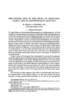 The Hinder End of the Skull in Merycopo- Tamus and in Hippopotamus Minutus by Helga S
