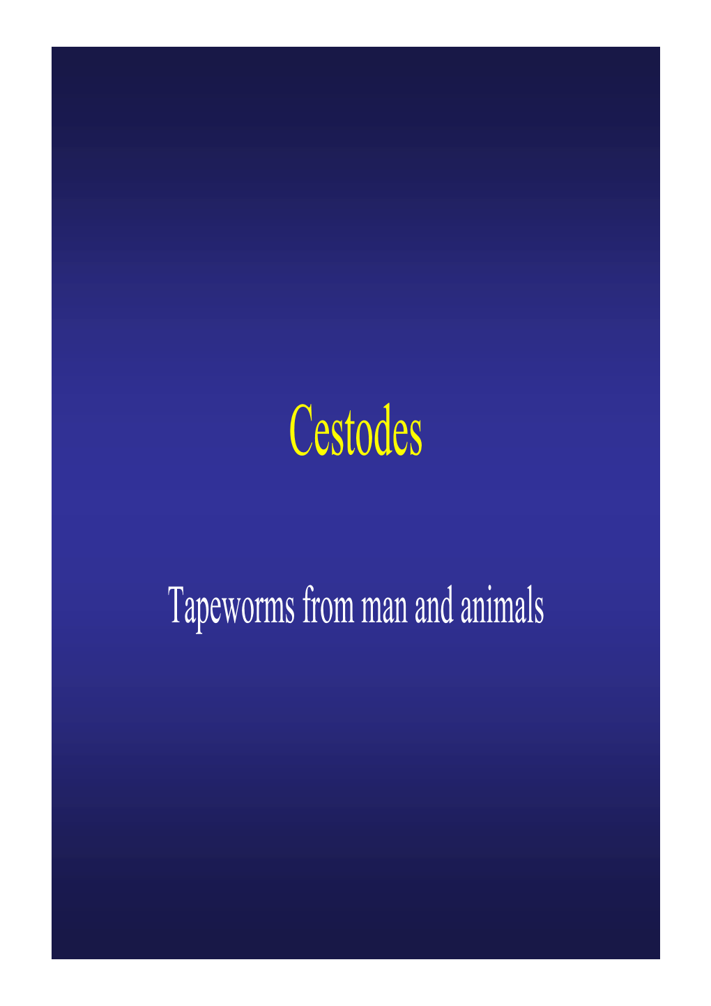 Cestodes.Pdf