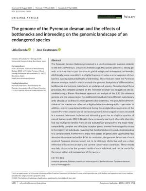 The Genome of the Pyrenean Desman and the Effects of Bottlenecks and Inbreeding on the Genomic Landscape of an Endangered Species