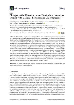 Changes in the Ultrastructure of Staphylococcus Aureus Treated with Cationic Peptides and Chlorhexidine