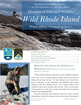 Wild Rhode Island Winter, 2019  Volume 12  Issue 1