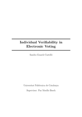Individual Verifiability in Electronic Voting