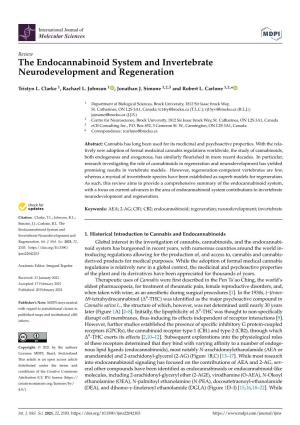 The Endocannabinoid System and Invertebrate Neurodevelopment and Regeneration