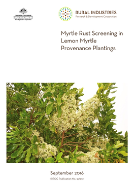 Myrtle Rust Screening in Lemon Myrtle Provenance Plantings