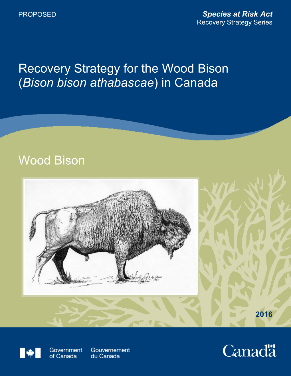Recovery Strategy for the Wood Bison (Bison Bison Athabascae) in Canada [Proposed]