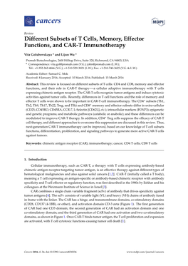 Different Subsets of T Cells, Memory, Effector Functions, and CAR-T Immunotherapy