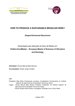 How to Make a Brazilian Wine from a Sustainable Vineyard