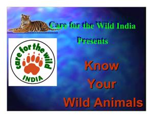Know Your Wild Animals