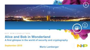 Alice and Bob in Wonderland a First Glimpse in the World of Security and Cryptography