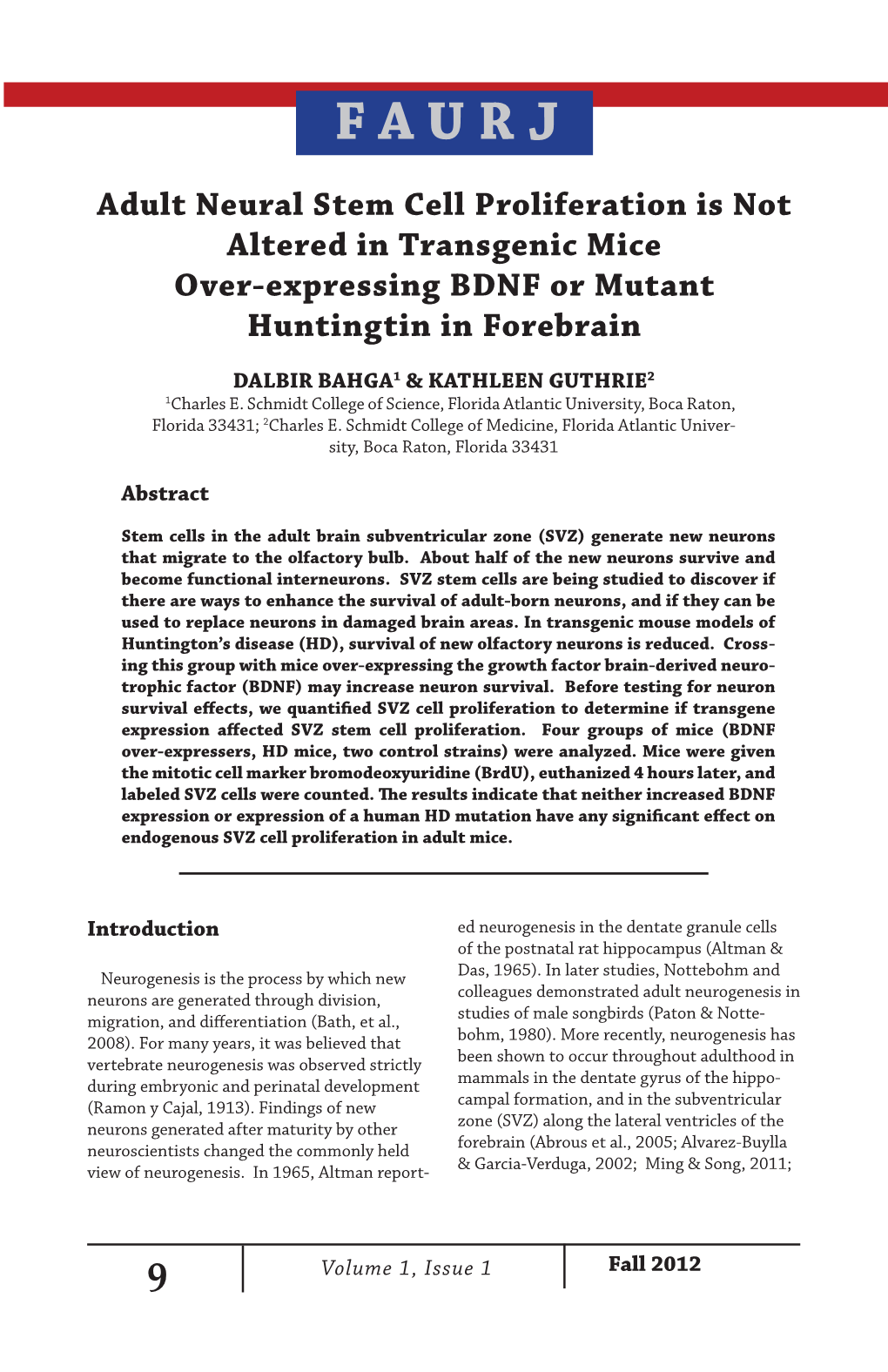 Adult Neural Stem Cell Proliferation Is Not Altered in Transgenic Mice Over-Expressing BDNF Or Mutant Huntingtin in Forebrain