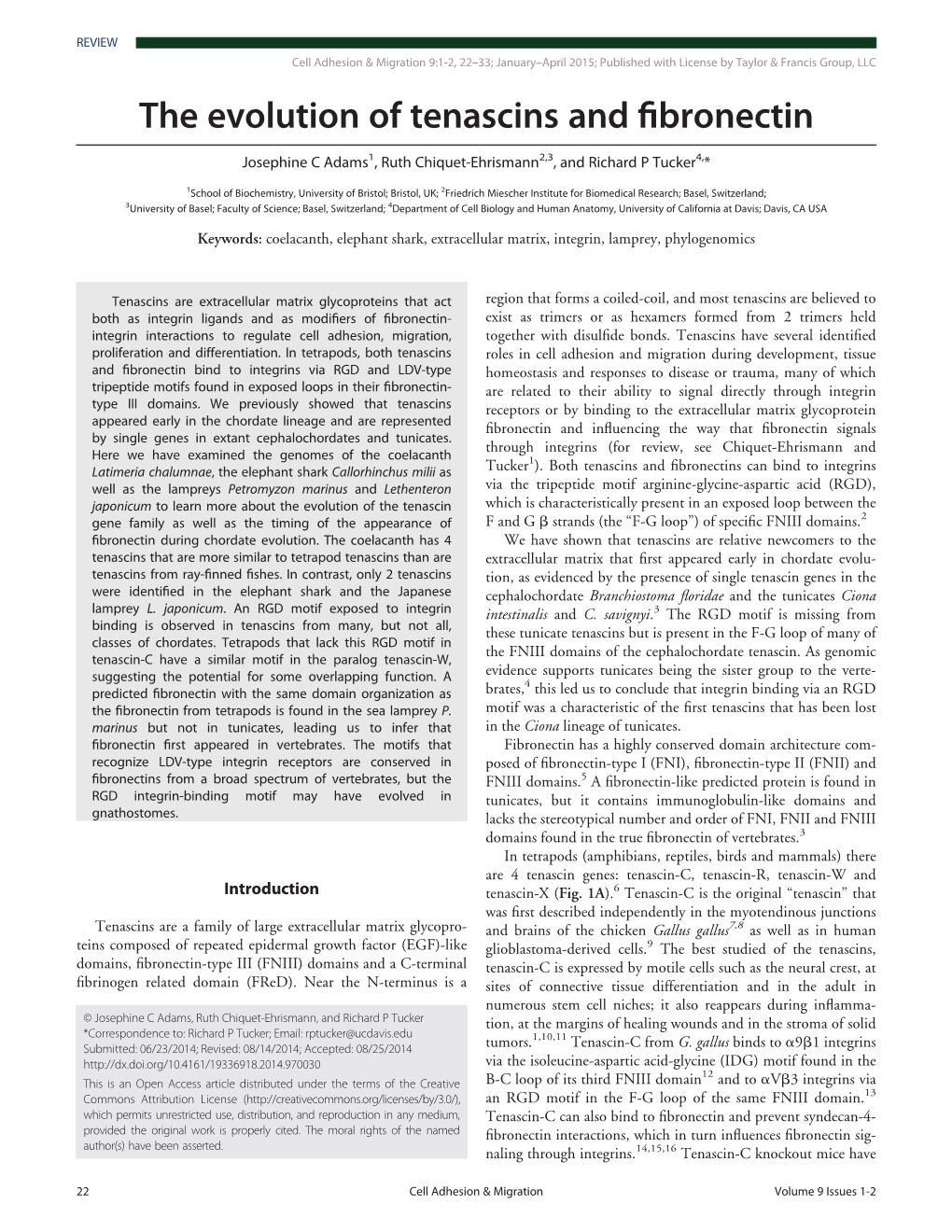 The Evolution of Tenascins and Fibronectin