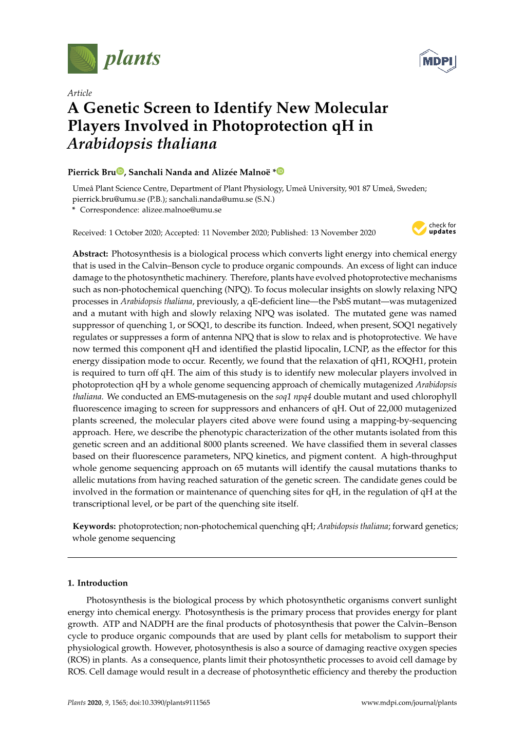 A Genetic Screen to Identify New Molecular Players Involved in Photoprotection Qh in Arabidopsis Thaliana