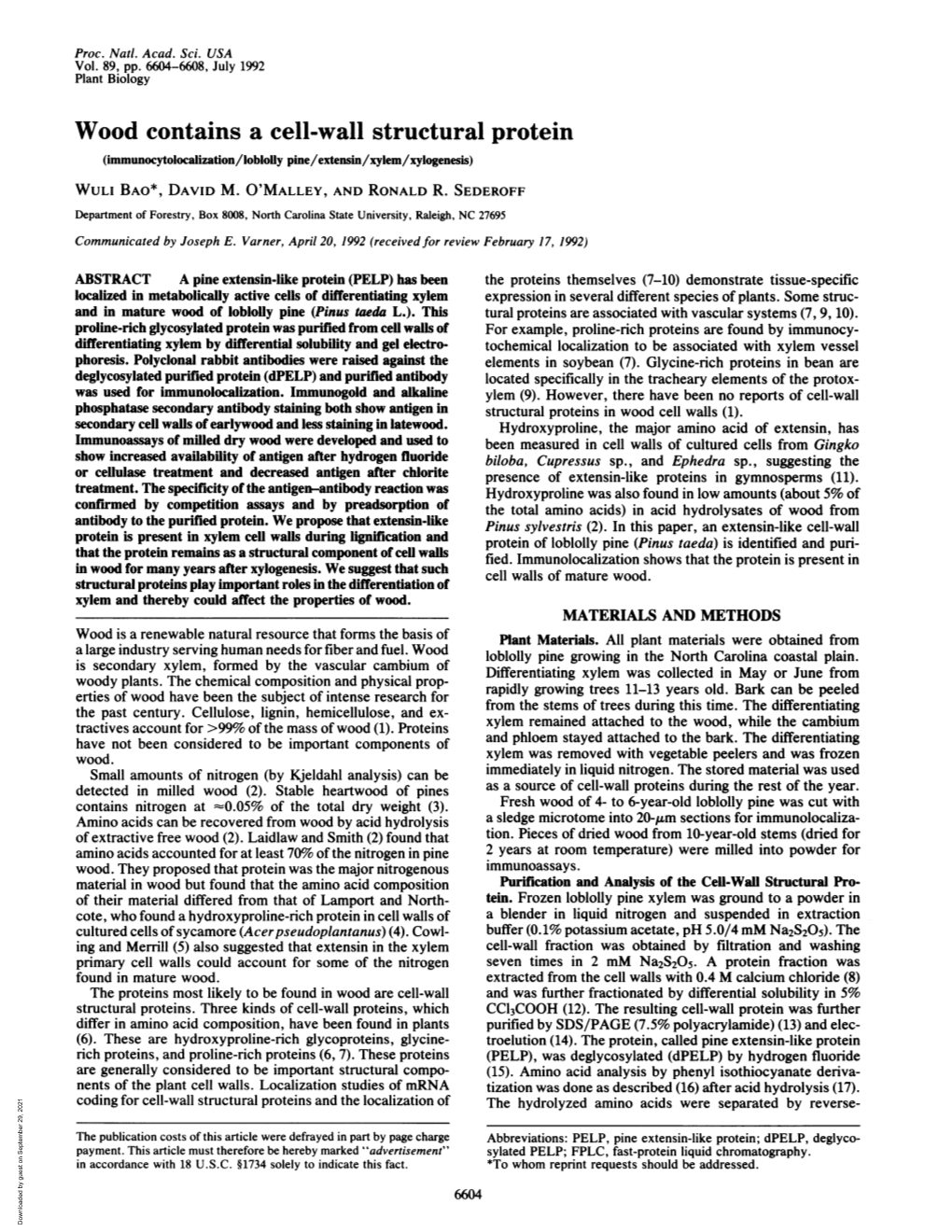 Wood Contains a Cell-Wall Structural Protein (Immunocytolocalization/Loblolly Pine/Extensin/Xylem/Xylogenesis) WULI BAO*, DAVID M