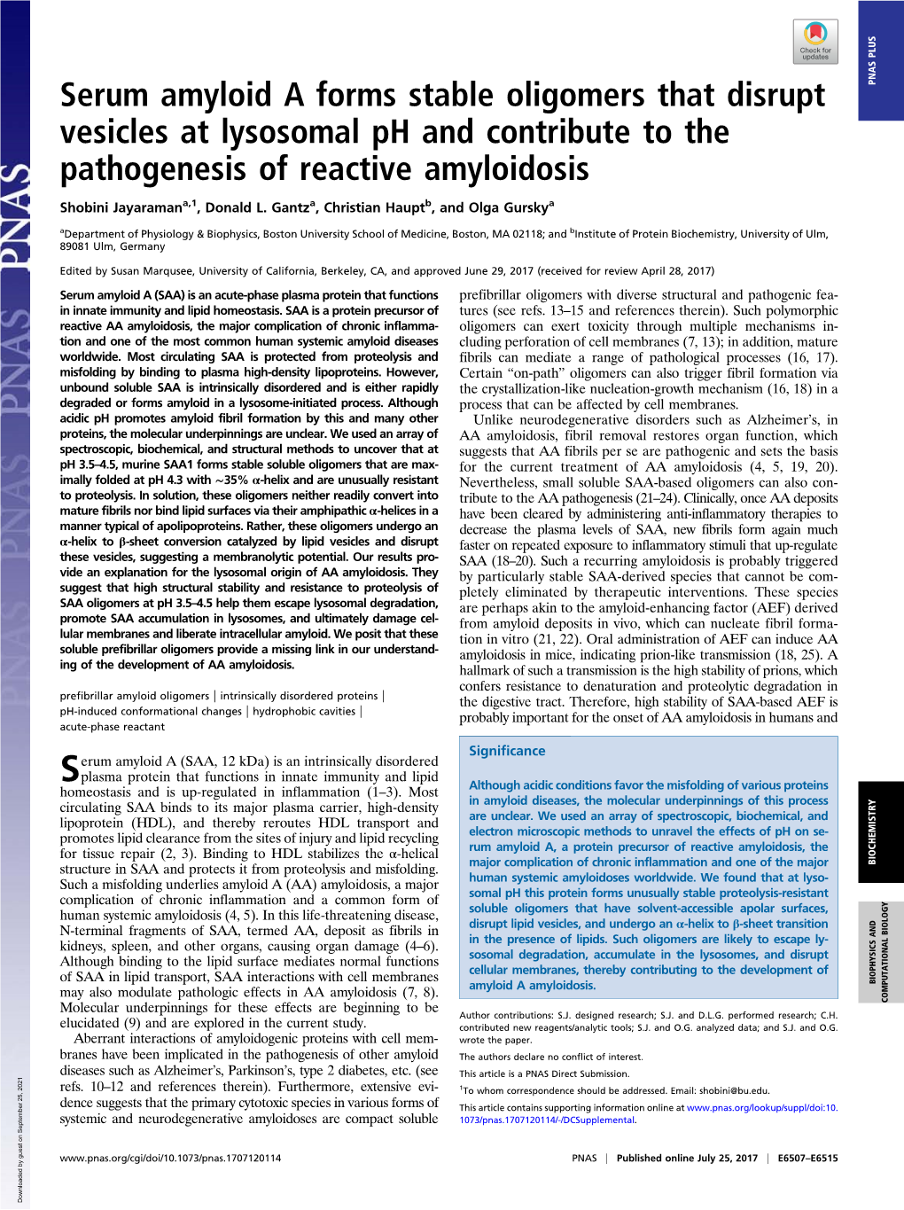 Serum Amyloid a Forms Stable Oligomers That Disrupt Vesicles At