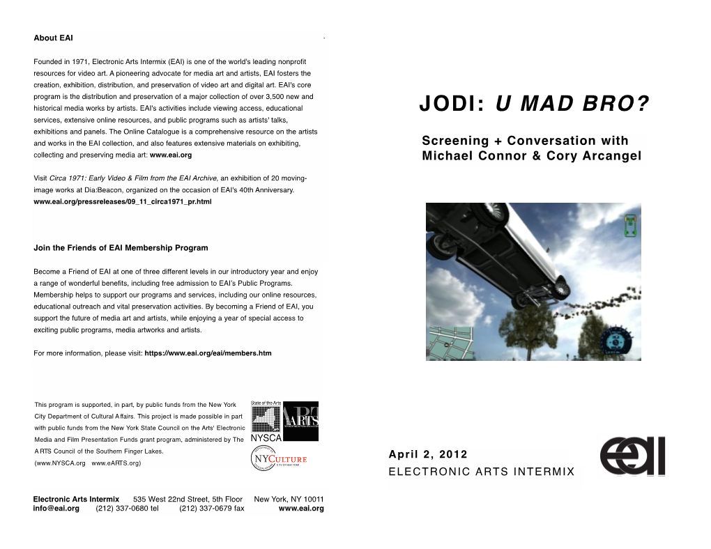 JODI: U M a D B R O ? Services, Extensive Online Resources, and Public Programs Such As Artists' Talks, Exhibitions and Panels