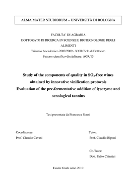 Study of the Components of Quality in SO2-Free Wines Obtained By