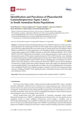 Identification and Prevalence of Phascolarctid Gammaherpesvirus