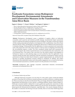 Freshwater Ecosystems Versus Hydropower Development: Environmental Assessments and Conservation Measures in the Transboundary Amur River Basin