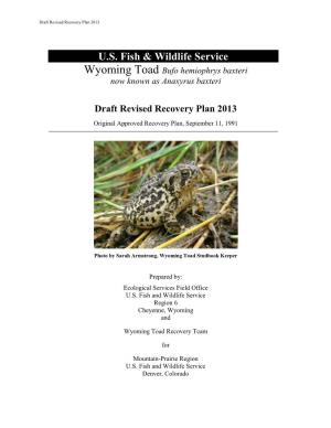 Draft Revised Recovery Plan 2013