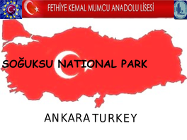 ANKARA– TURKEY FLORA of SOĞUKSU NATIONAL PARK Fragaria Vesca (Wild Strawberry- Yabani Çilek)