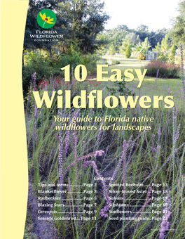 Your Guide to Florida Native Wildflowers for Landscapes