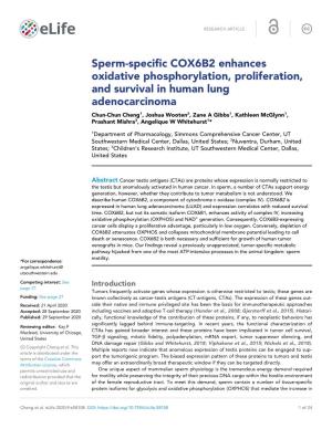 Sperm-Specific COX6B2 Enhances Oxidative Phosphorylation