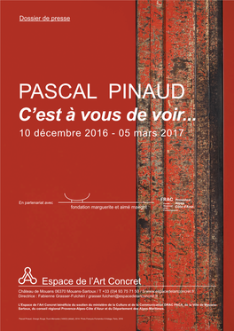 Pascal Pinaud, C'est À Vous De Voir