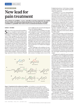 New Lead for Pain Treatment